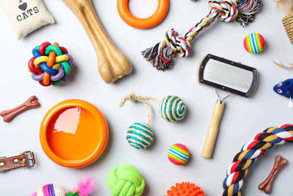 Accessoires pour animaux